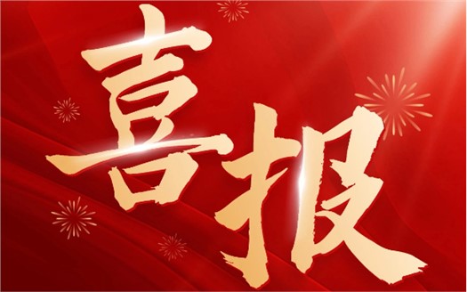 集團(tuán)榮膺2025中國(guó)民營(yíng)企業(yè)500強(qiáng)第249位，制造業(yè)民營(yíng)企業(yè)500強(qiáng)第177位，排名較去年雙雙大幅提升